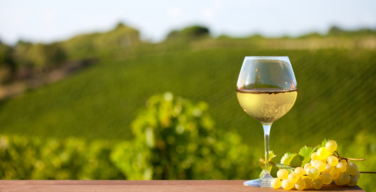 Ophorus Tours - Burgundy Wine Tour Full Day Côte de Beaune & Côte de Nuits