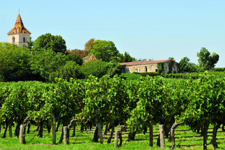 Ophorus Tours - Burgundy Wine Tour Full Day Côte de Beaune & Côte de Nuits