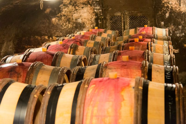 Ophorus Tours - Burgundy Wine Tour Full Day Côte de Beaune & Côte de Nuits