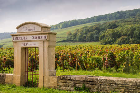 Ophorus Tours - Burgundy Wine Tour Full Day Côte de Beaune & Côte de Nuits