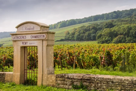 Dijon Wine Tour: Côte de Nuits & Côte de Beaune Vineyards