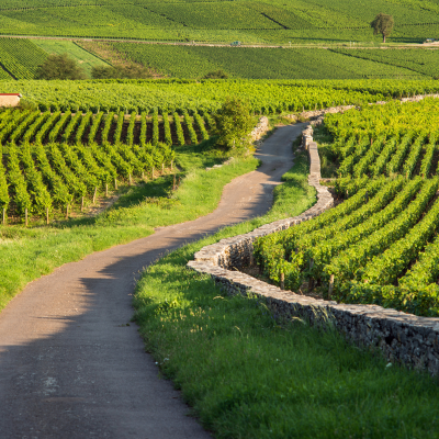 Scenic drive along the Route des Grands Crus