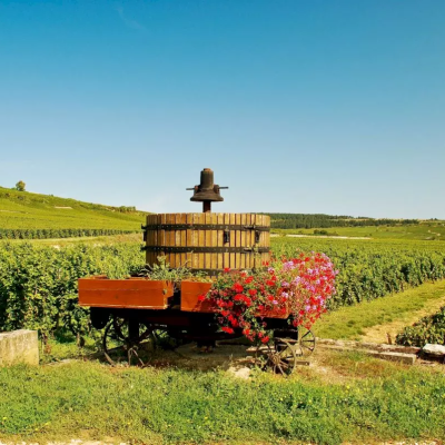 Winery visit