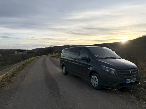 Ophorus Tours - Dijon Wine Tours: Côte de Beaune Half-day Small Group Experience