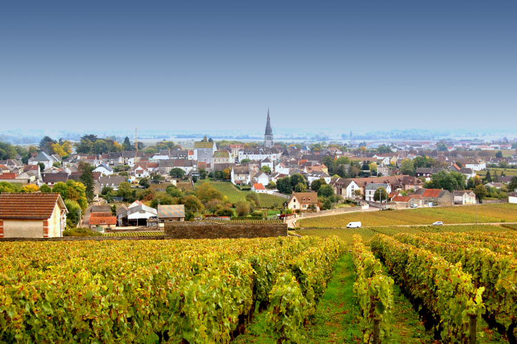 Ophorus Tours - Côte de Beaune Half-Day Burgundy Wine Tour from Dijon