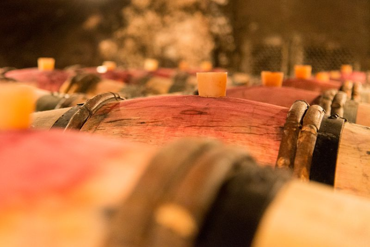 Ophorus Tours - Côte de Beaune Half-Day Burgundy Wine Tour from Dijon