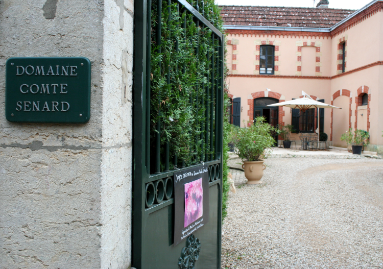 Ophorus Tours - Côte de Beaune Half-Day Burgundy Wine Tour from Dijon