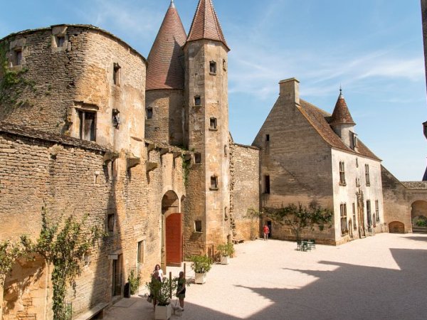 Ophorus Tours - Burgundy Villages & Wine Tour: A Day of History, Culture, and Fine Wines