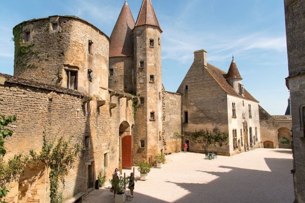 Ophorus Tours - Burgundy Villages & Wine Tour: A Day of History, Culture, and Fine Wines