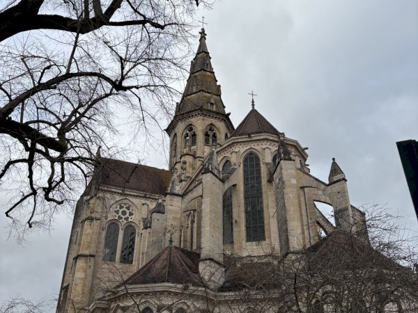 Ophorus Tours - Burgundy Villages & Wine Tour: A Day of History, Culture, and Fine Wines
