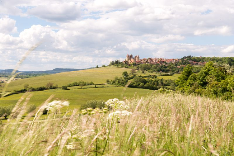 Ophorus Tours - Burgundy Medieval Villages Small Group Full Day Tour from Dijon