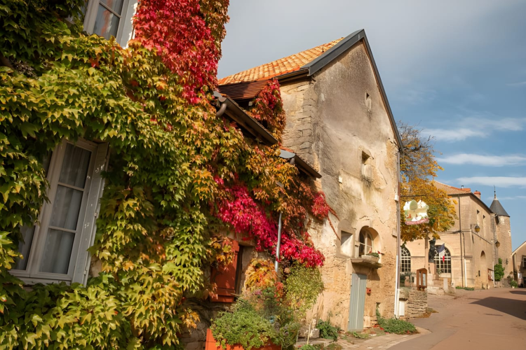 Ophorus Tours - Burgundy Villages of the Auxois : A Private Day of History and Culture