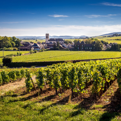 Scenic Drive through Côte de Beaune