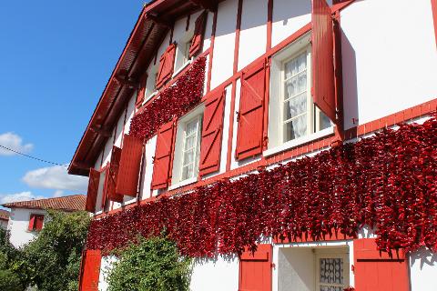 Ophorus Tours - A Taste of Basque Country: Private Food & Culture Tour from Bordeaux