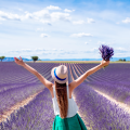 Scenic Drive to Valensole