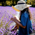Lavender Field Photo Stops