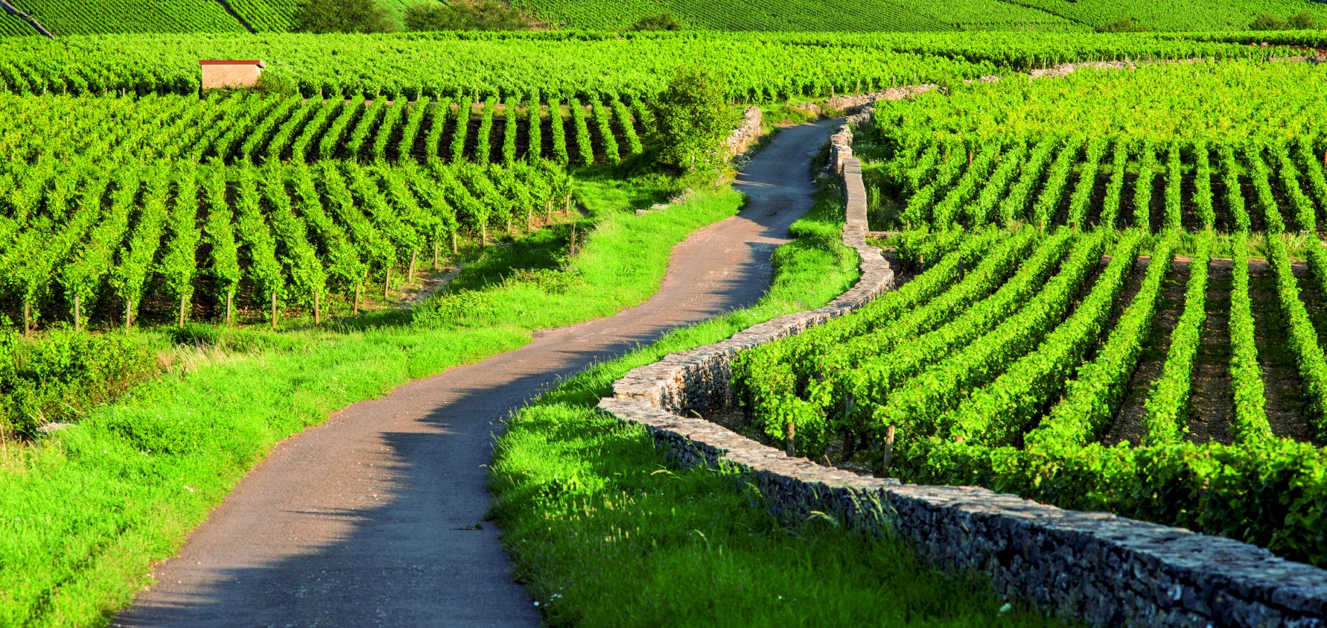 Ophorus Tours - 8-Day Small Group Alsace & Burgundy Package - 3* Hotel