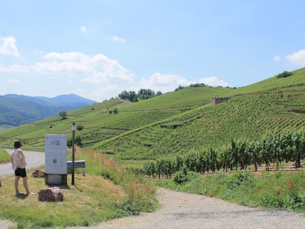 Ophorus Tours - 8-Day Small Group Alsace & Burgundy Package - 5* Hotel