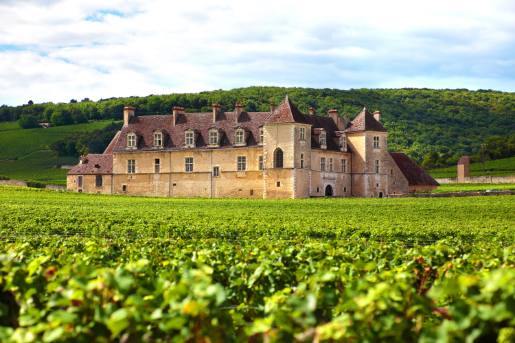 Ophorus Tours - Côte de Nuits Private Burgundy Wine Tour from Dijon for 2