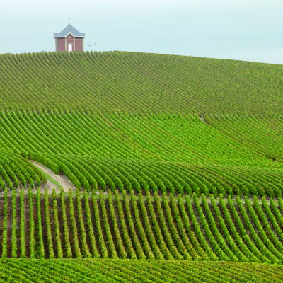 Route du Champagne and Vineyard Landscapes