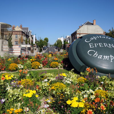 Épernay and Champagne House Visit