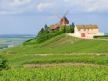 Ophorus Tours - A Private Champagne Escape from Paris: Reims, Epernay, Hautvillers & Tastings