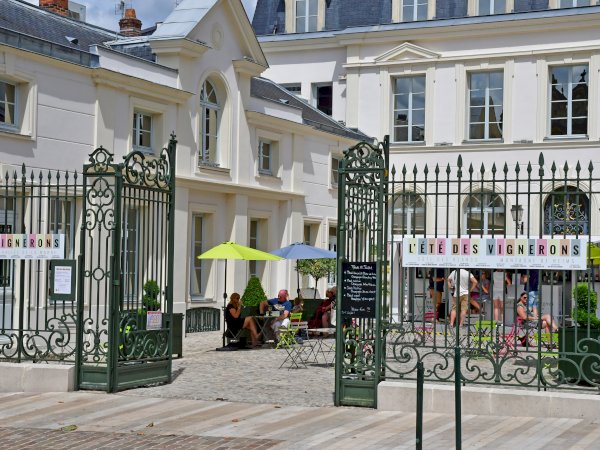 Ophorus Tours - A Private Champagne Escape from Paris: Reims, Epernay, Hautvillers & Tastings