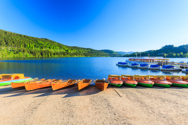 Ophorus Tours - Freiburg & the Black Forest Private Tour from Colmar