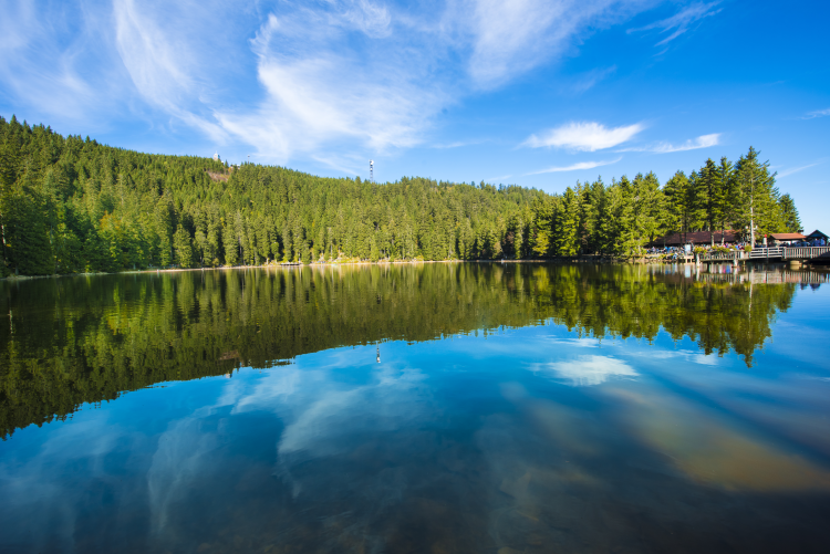 Ophorus Tours - Black Forest & Freiburg Discovery private tour from Strasbourg