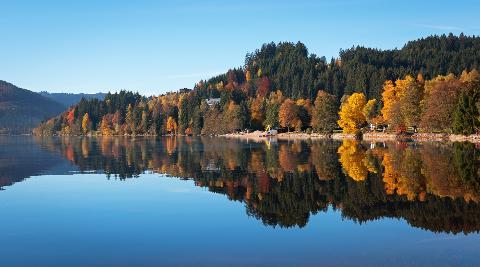 Ophorus Tours - Black Forest & Freiburg Discovery private tour from Strasbourg