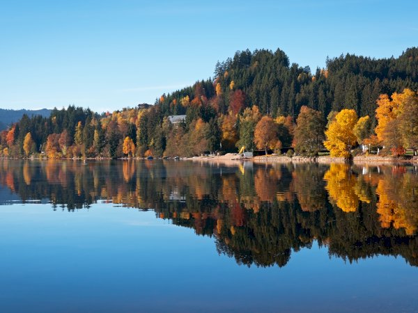 black forest day tours from freiburg