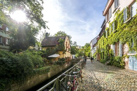 Ophorus Tours - Black Forest & Freiburg Discovery private tour from Strasbourg
