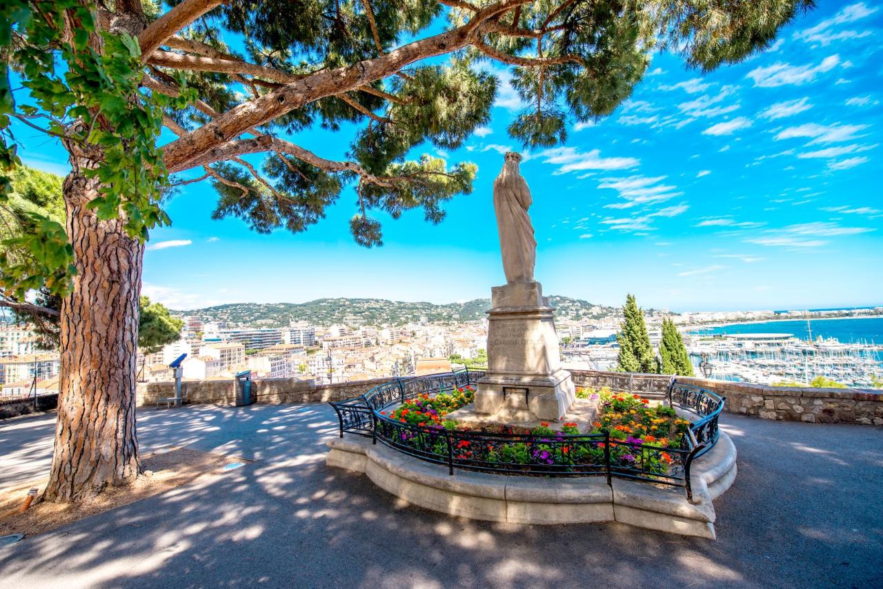 Ophorus Tours - Avignon Private Transfer to Cannes