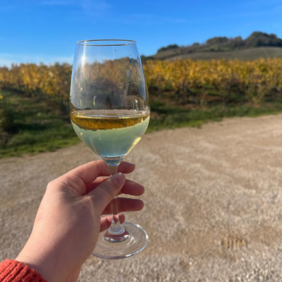 Second Winery Visit and Tasting