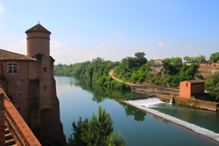 Ophorus Tours - Gaillac Wine Tour private half-Day trip from Toulouse