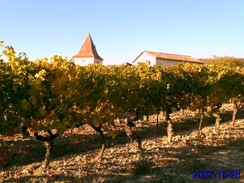 Ophorus Tours - Explore Gaillac Wines: Private Half-Day Tour from Toulouse
