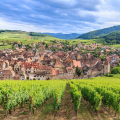 Second village visit (e.g. Kaysersberg or Riquewihr)