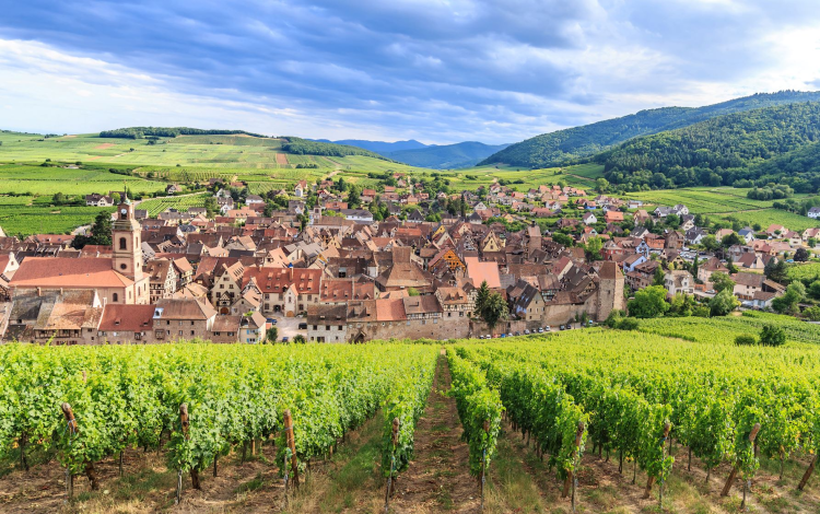 Ophorus Tours - Eguisheim, Riquewihr & Haut Koenigsbourg – An Alsace Journey from Colmar