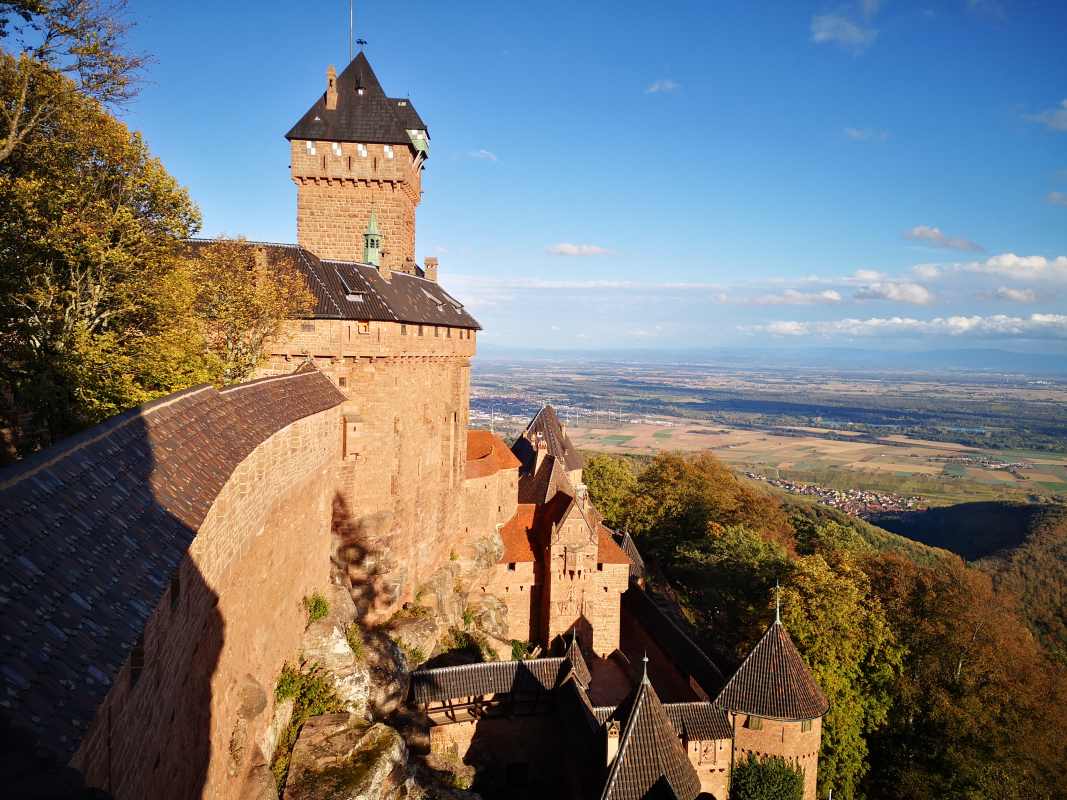 Ophorus Tours - Eguisheim, Riquewihr & Haut Koenigsbourg – An Alsace Journey from Colmar