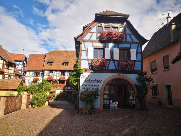 Ophorus Tours - Eguisheim, Riquewihr & Haut Koenigsbourg - A Private Excursion from Colmar