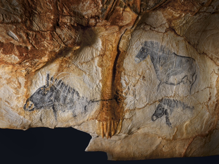 Ophorus Tours - Cassis & Cosquer Cave Small Group Tour from Aix-en-Provence