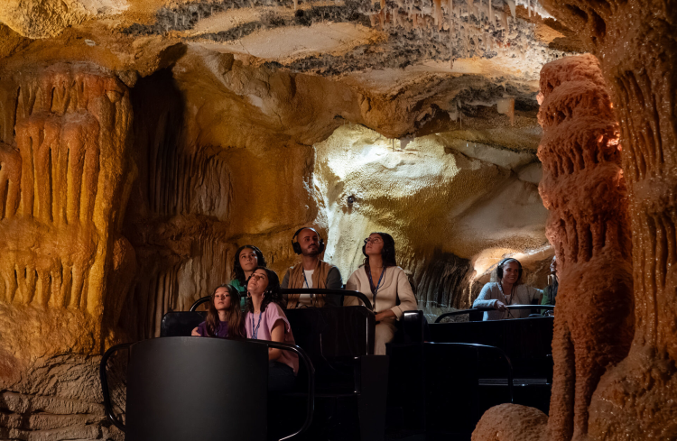 Ophorus Tours - Cassis & Cosquer Cave Small Group Tour from Aix-en-Provence