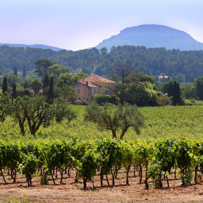 Winery