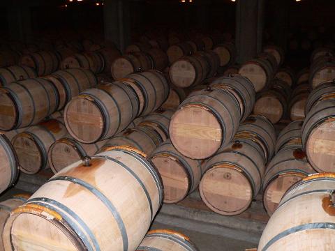 Ophorus Tours - Château d’Yquem Private Tour & Tasting from Bordeaux - Anthology