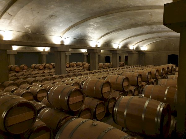 Ophorus Tours - Château d'Yquem Visit & Wine Tasting - Anthology Tour
