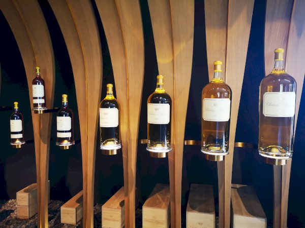 Ophorus Tours - Château d'Yquem Visit & Wine Tasting - Anthology Tour