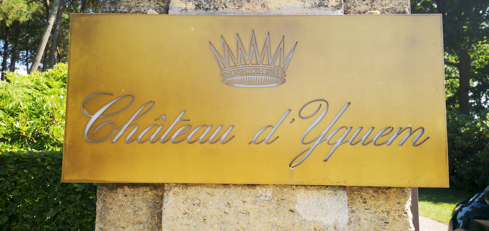 Ophorus Tours - Château d'Yquem Visit & Wine Tasting - Anthology Tour