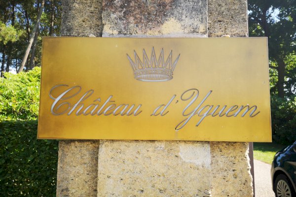Ophorus Tours - Château d'Yquem Visit & Wine Tasting - Anthology Tour