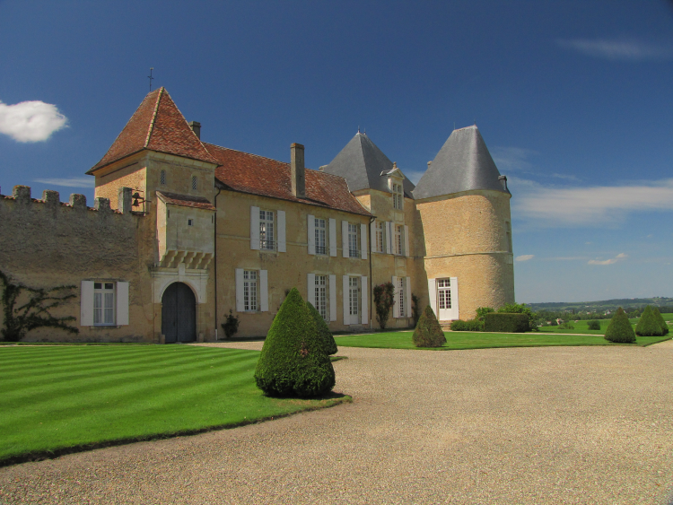 Ophorus Tours - Château d’Yquem Initiation Private Wine Tour from Bordeaux