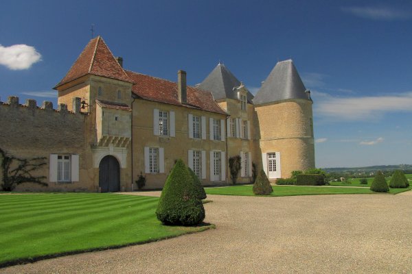 Ophorus Tours - Château d'Yquem Visit & Wine Tasting - Discovery Tour